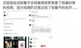 吃瓜视频网站黑料视频,揭秘网络背后的真相